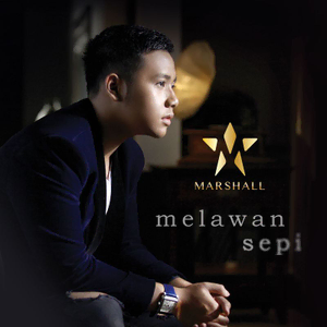 Melawan Sepi