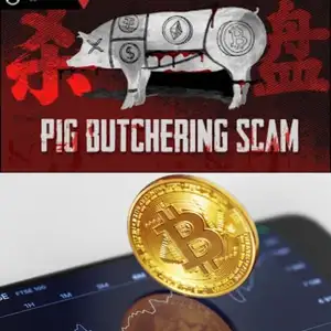 Pig Butchering - Modus Penipuan Cryptocurrency
