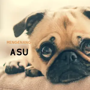 Mengenang Asu