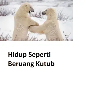 hidup beruang kutub