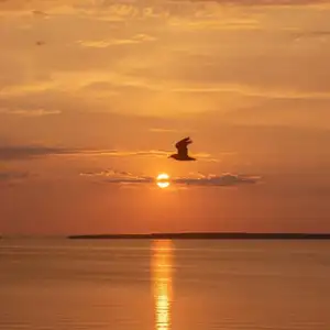 untuk apa aku pulang? eps.1