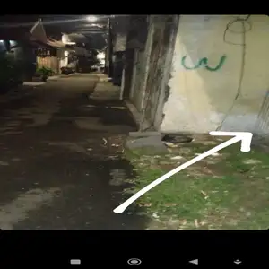 Opening dari Bob marley