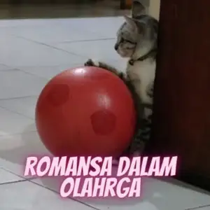 Romansa Dalam Olahraga