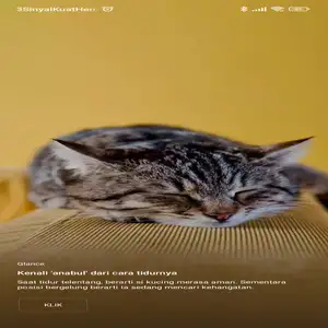 Podcast gabut sebelum tidur 