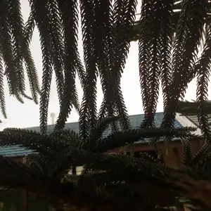 Pengalaman horor ketika mondok 