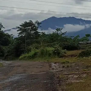 Melody memory,tembang kenangan