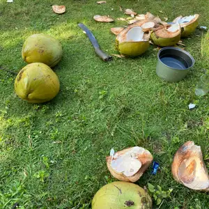Cerita Hidup Nyata