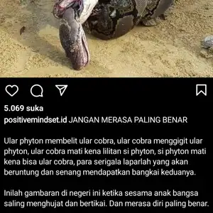 Orang bodoh