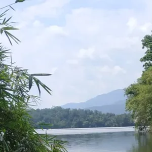 cerita di balik semak