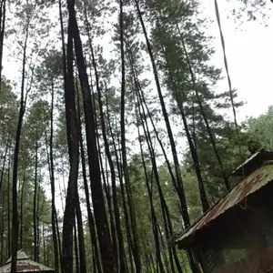 Basa Basi yang Tidak Basi