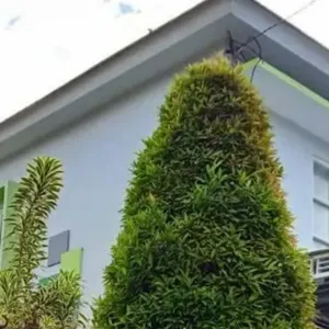Tentang perasaan