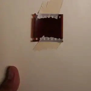 Yang berharap menjadi satu