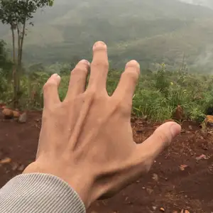 Kehidupan
