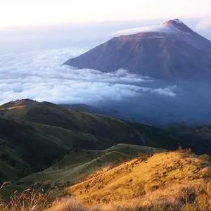 Ngetes