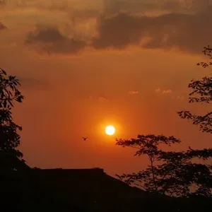 Suara Kejujuran
