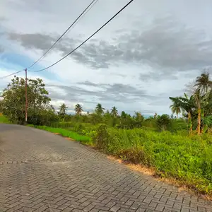 EPS 1. PERSEPSI TENTANG FILSAFAT "TIDAK MENGHASILKAN ROTI"