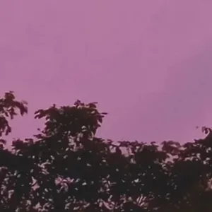 Hanya Mengacau