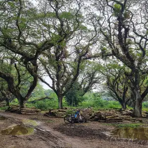 Enersity - Suara Energi Lestari