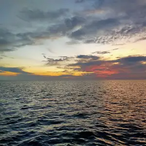 Kisah rasa antara kita