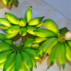 Ngobrol