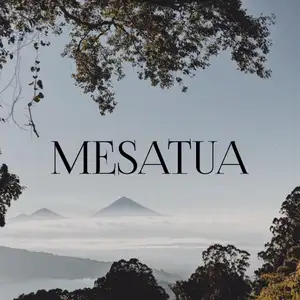 Mesatua.