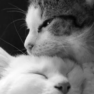 Aku Bisa, Aku Berharga, Aku Hebat