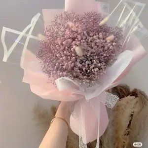 Sahabatku yang ku cintai 