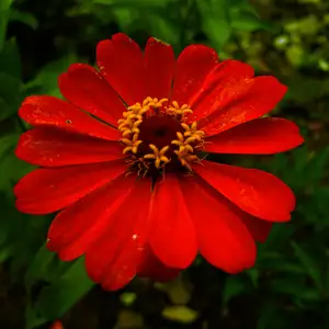 Memulai perjalanan yang baru