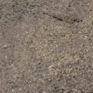 Cerita ocha
