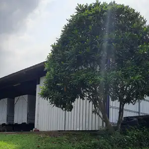 PESUGIHAN