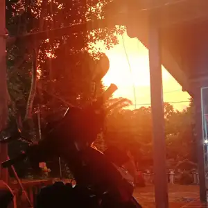 Pojok_halu
