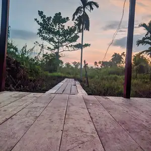Saadanya wara 