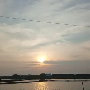 Cerita mantan anak korban Bully