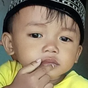 Halo sobat