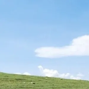 pengen ajaa