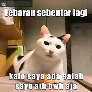 APA ITU PDKT ?!