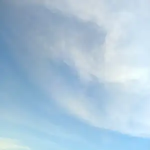 EMOSI DASAR MANUSIA || SHARING 03.00 AM