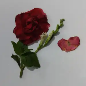 Etika Berinternet ala Gen Z