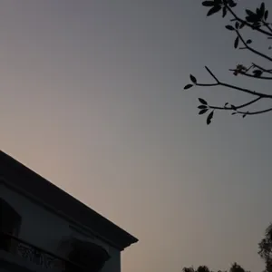 How to improve your English language skills 