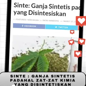 Ganja vs Sinte