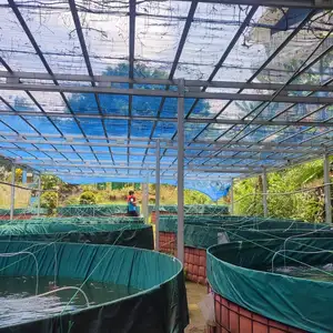 5 Habits yang membuatmu menjadi lebih produktif
