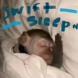 Swift Sleep: A new way to get some shut-eye!