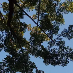 Me dan dia yg tak terlihat