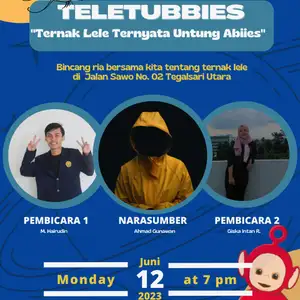 Teletubbies 