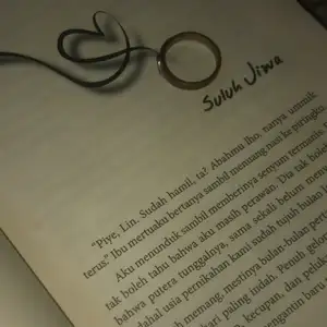 Kicauan novel