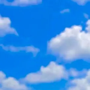 Tes