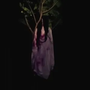 Misteri di desa perlis