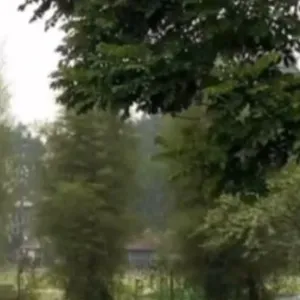 Menjadi dewasa