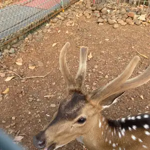 Pemilu 2024, penting ga sih buat lo?