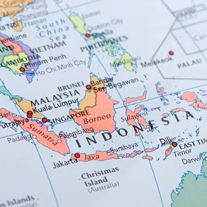 Etnobotani di Asia Tenggara 